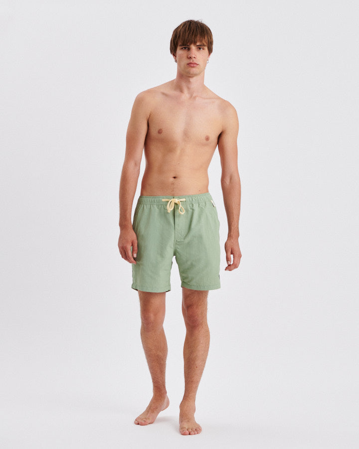 Nucleus 16" Trunk - Pistachio