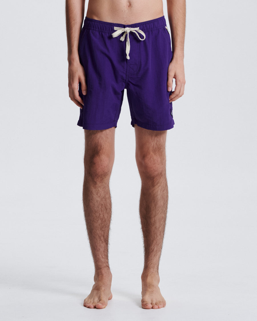 Nucleus 16" Trunk - Purple