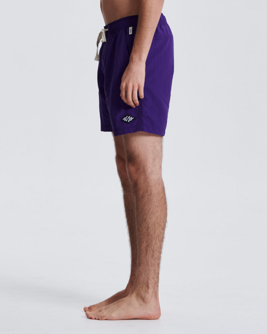 Nucleus 16" Trunk - Purple