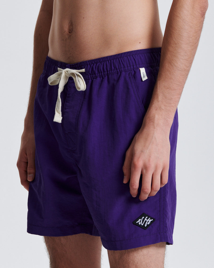Nucleus 16" Trunk - Purple