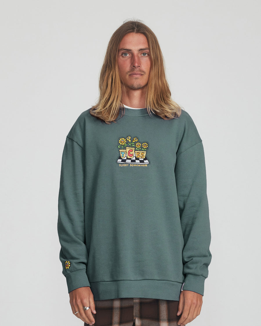 Potter Crew - Green