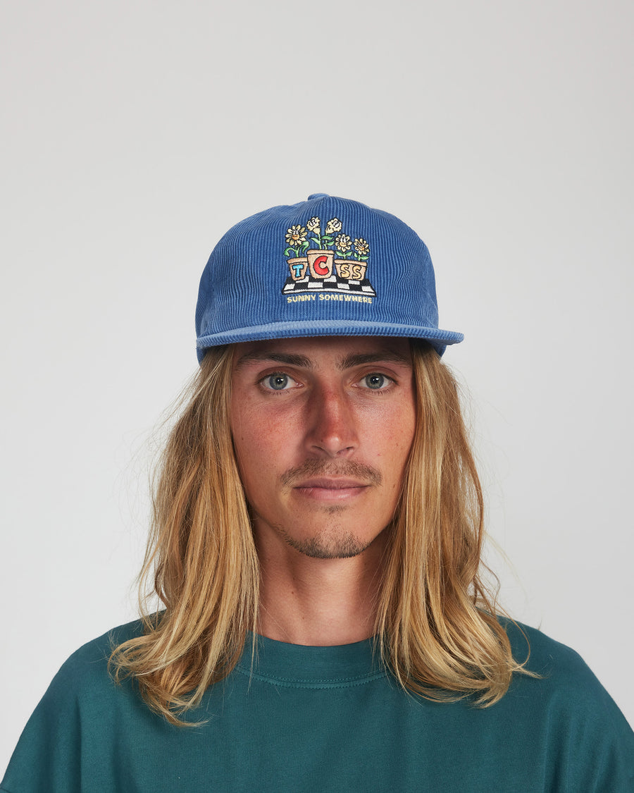 Potter Cap - Blue