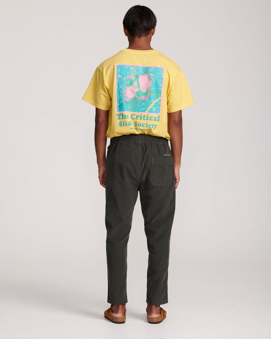 All Day Cord Pant - Bottle