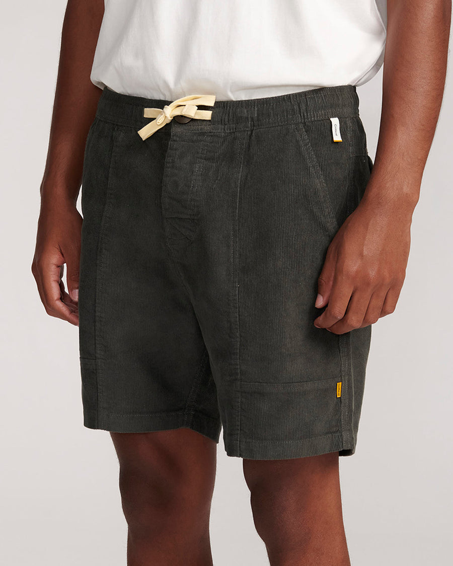 All Day Cord Walkshort - Bottle