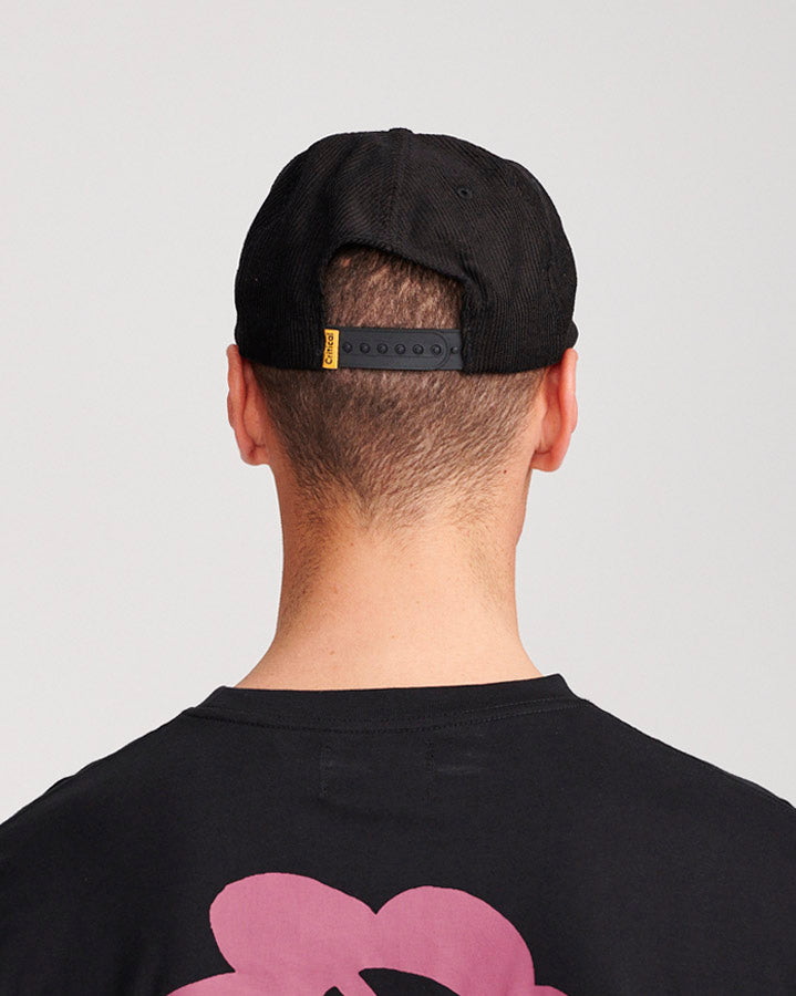 INSTITUTE CAP